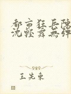 都市狂兵陈六何沈轻舞无弹窗