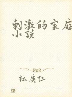 刺激的家庭乱仑小说