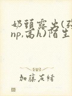 奶头露出(强jnp,高h)陌生人小说小说