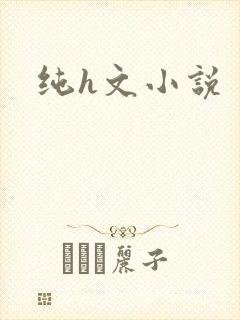 纯h文小说
