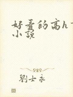 好看的高h言情小说封面