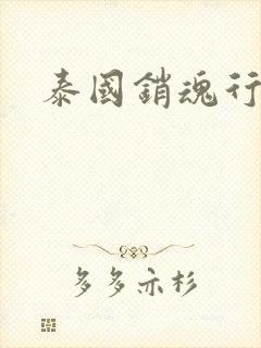 泰国销魂行封面