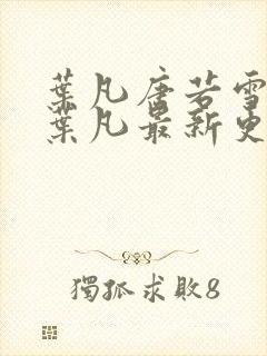 叶凡唐若雪王婿叶凡最新更新封面