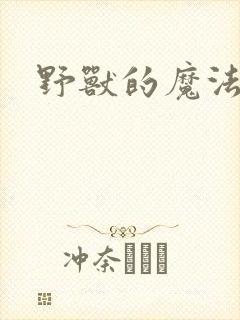 野兽的魔法师封面