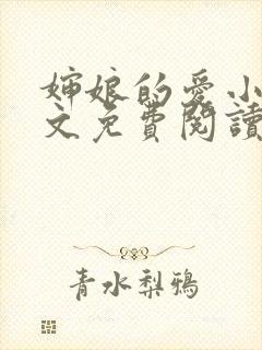 婶娘的爱小说全文免费阅读