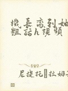 机长脔到她哭h粗话h视频