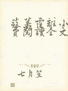 苏莱霍离小说免费阅读全文封面