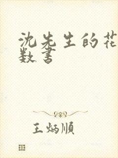 沈先生的花式调数书