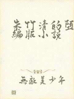 朱竹清的堕落改编版小说封面