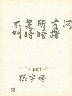 不是所有网站都叫暗暗撸