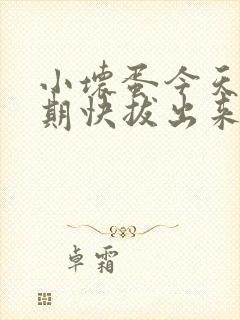 小坏蛋今天危险期快拔出来