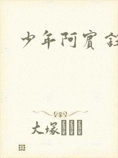少年阿宾 钰慧