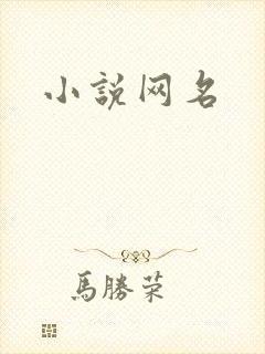 小说网名