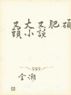 又大又肥硕的奶头小说封面