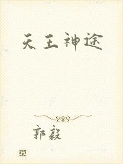 天王神途封面