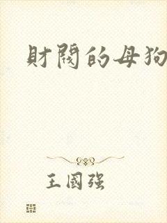 财阀的母狗们