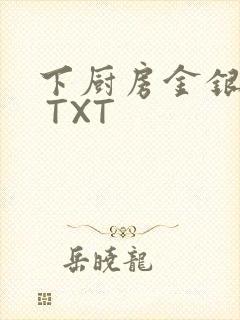 下厨房金银花露 TXT封面