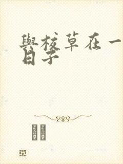 与校草在一起的日子