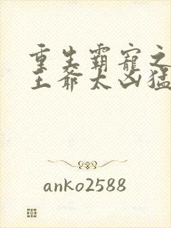 重生霸宠之摄政王爷太凶猛