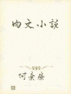 肉文小说封面