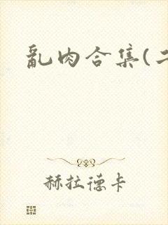 乱肉合集(二)封面