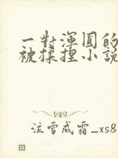 一对浑圆的胸乳被揉捏小说