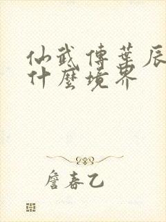 仙武传叶辰最后什么境界