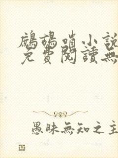 鹧鸪哨小说网站免费阅读无弹窗