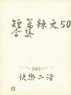 短篇辣文500合集