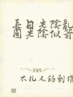 长日光阴乱作一团光阴似箭必读