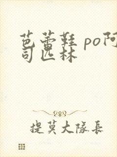 芭蕾鞋 po阿司匹林封面