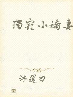 独宠小娇妻