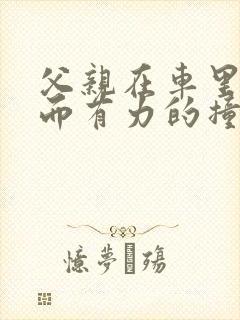 父亲在车里缓慢而有力的撞着封面