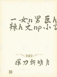 一女n男巨h高辣h文np小说