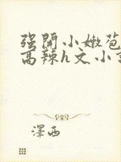 强开小嫩苞h文高辣h文小说