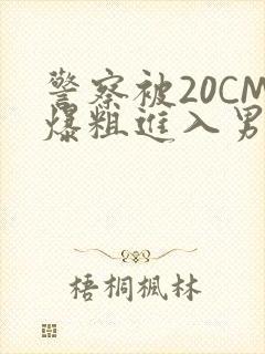 警察被20CM爆粗进入男男软件