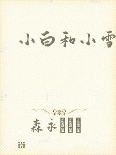 小白和小雪