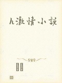 h激情小说封面
