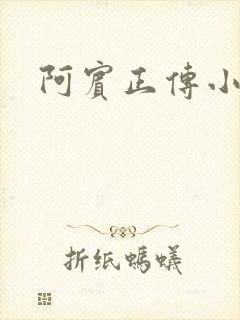 阿宾正传小说
