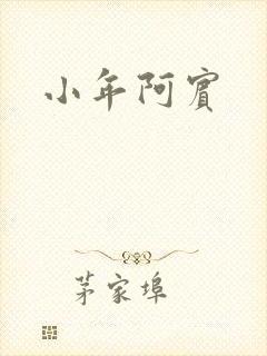 小年阿宾封面