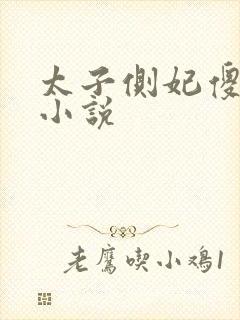 太子侧妃傻乎乎小说