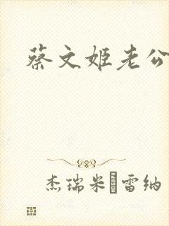 蔡文姬老公封面