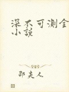深不可测金银花小说