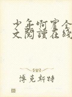 少年啊宾全文全文阅读在线阅读全文封面