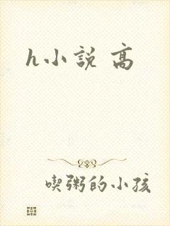 h小说 高
