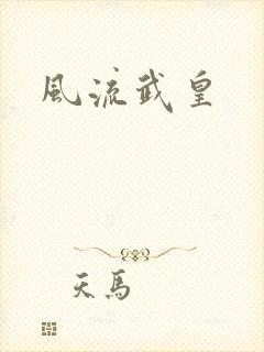 风流武皇