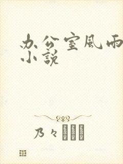 办公室风雨完整小说