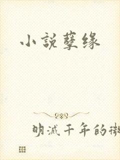 小说孽缘
