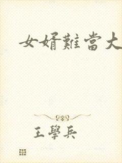 女婿难当大结局