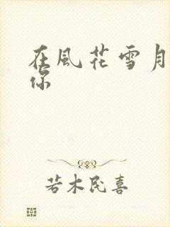 在风花雪月里等你